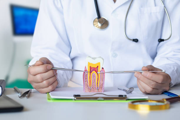 Best Emergency Orthodontic Repairs in College Station, TX